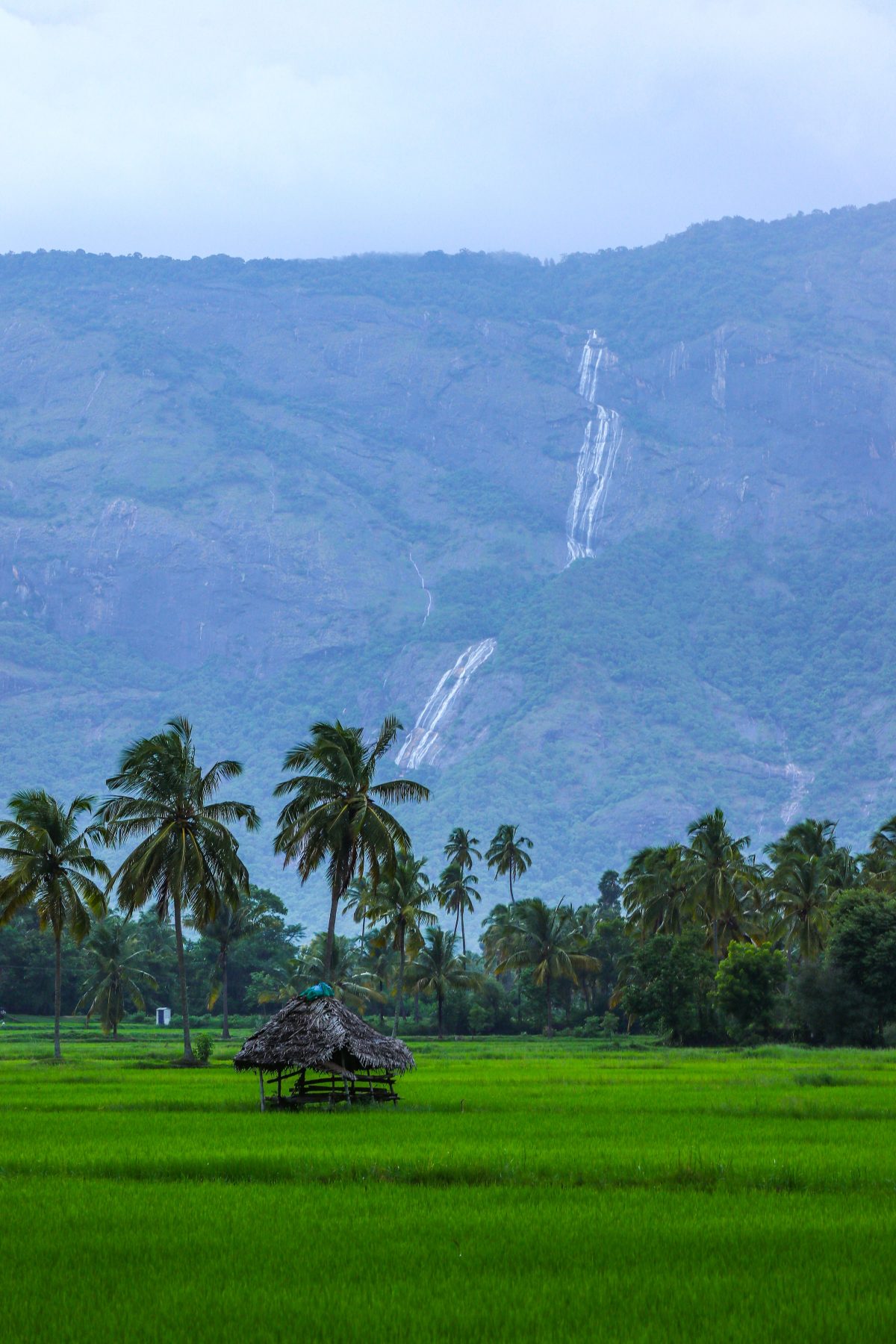 Indian rural landscape