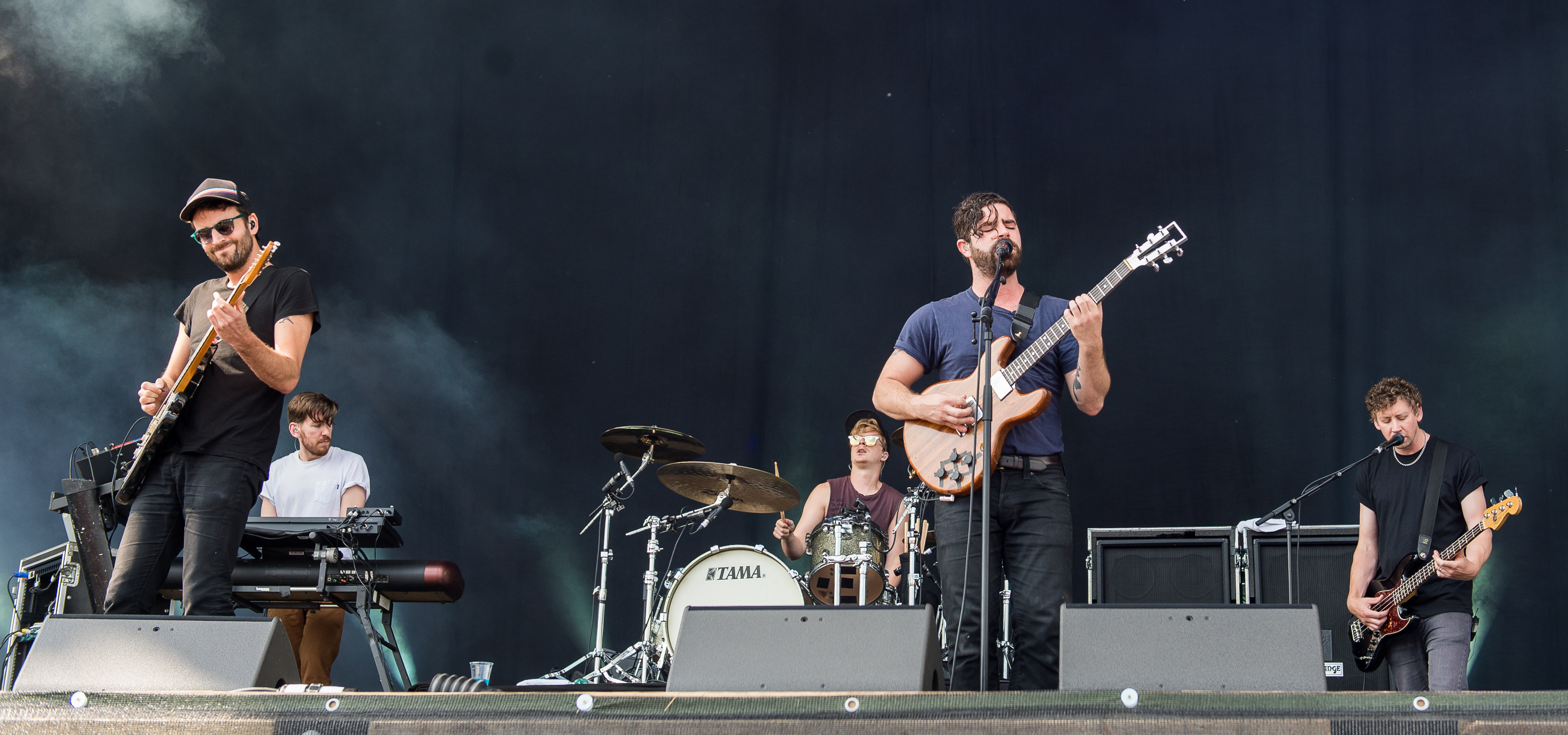 Foals