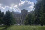 winchester cathedral with grass and trees