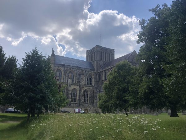 winchester cathedral with grass and trees