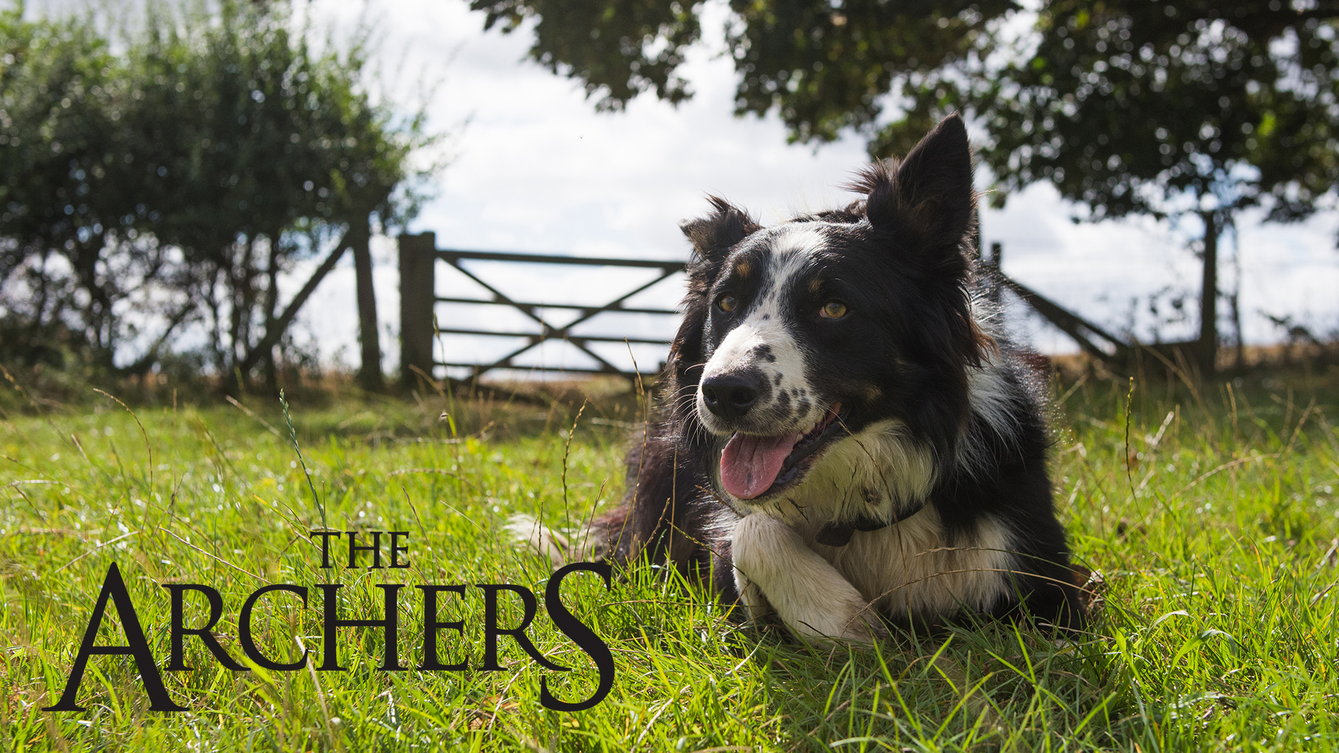 Archers