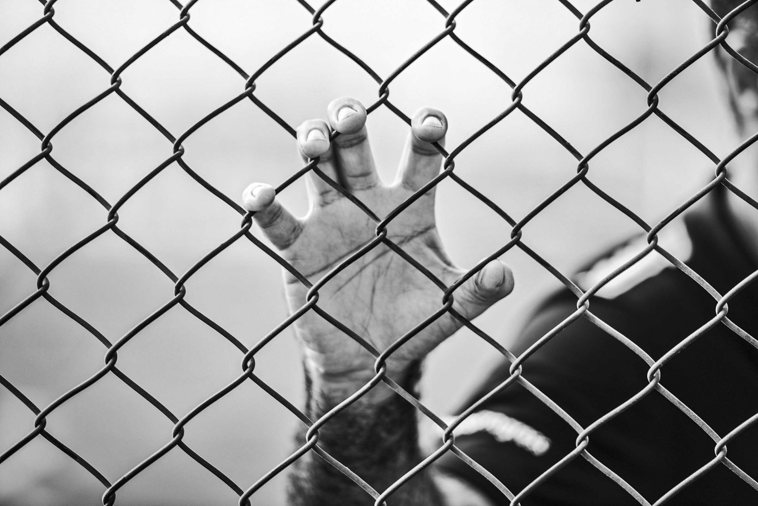 prison work placement