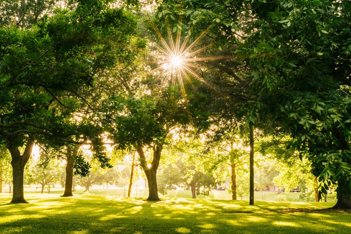 New Plans To Make Birmingham 'Bolder Brighter Greener' - Vimarsana News