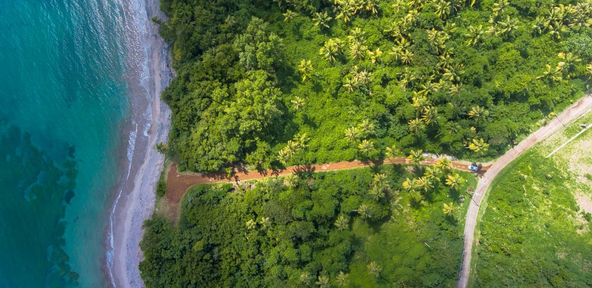 A Guide to Sustainable Travel | Redbrick Travel