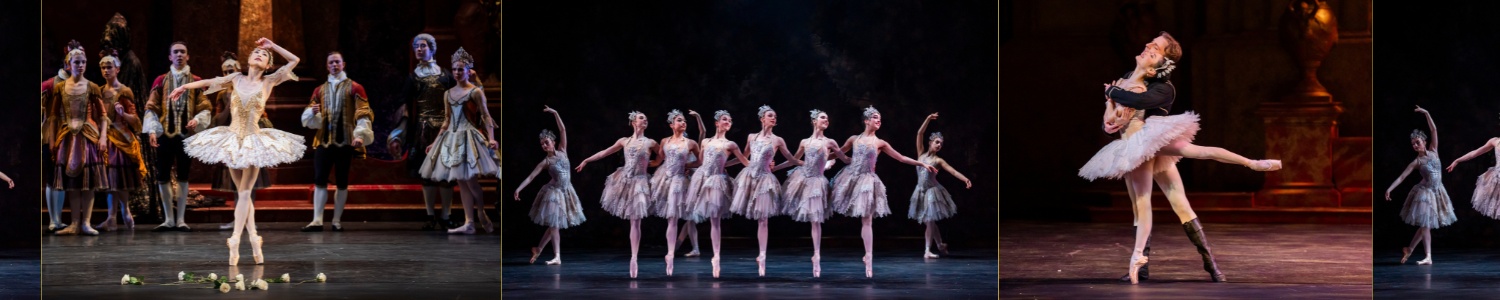 The Sleeping Beauty Ballet Cast Photos