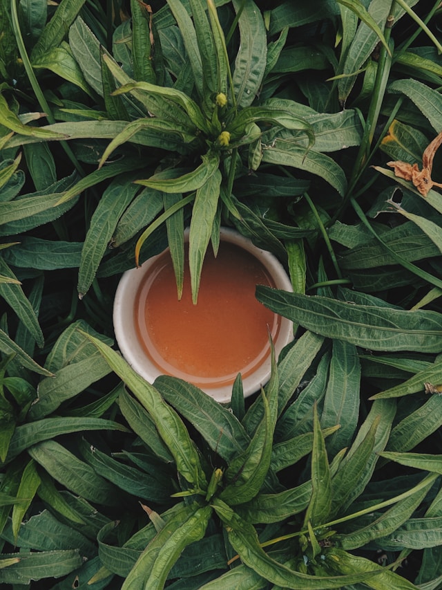 tea in leaves