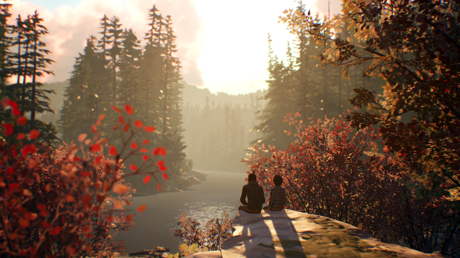 A screenshot from the official Steam page of Life is Strange 2.
